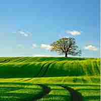 html表﻿格‌做﻿表​单﻿代‍码​